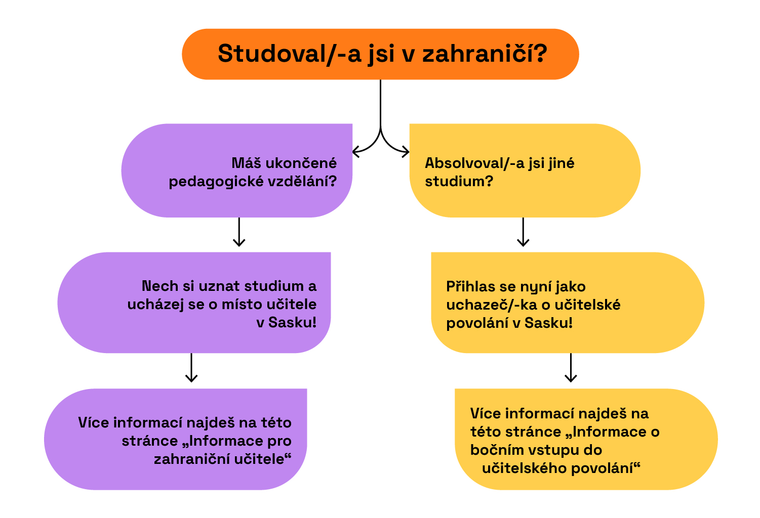 Zahranicni-ucitele-v-Sasku-mluvi-cesky.jpg