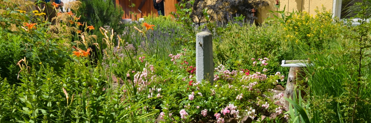 Das Foto zeigt einen üppigen Schulgarten im Sonnenschein, in dem Blumen in bunten Farben blühen.